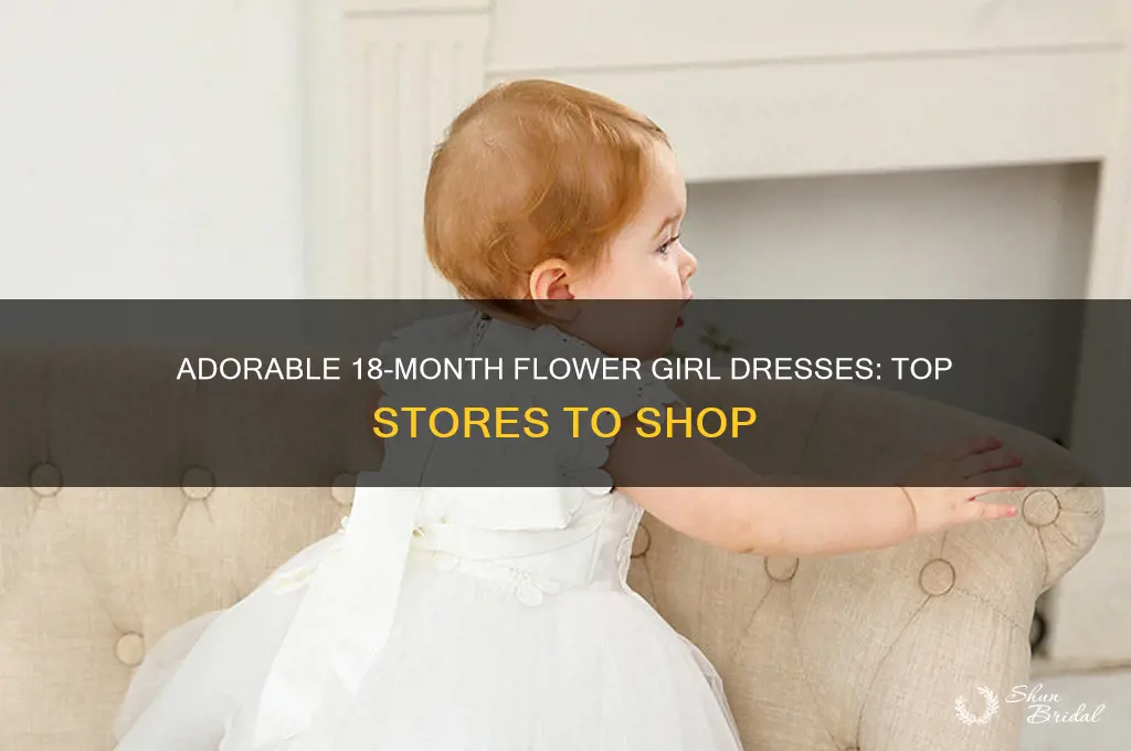 where to buy 18 month flower girl dress