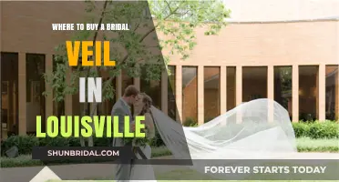 Louisville's Top Bridal Veil Shops: Where to Find Your Dream Veil