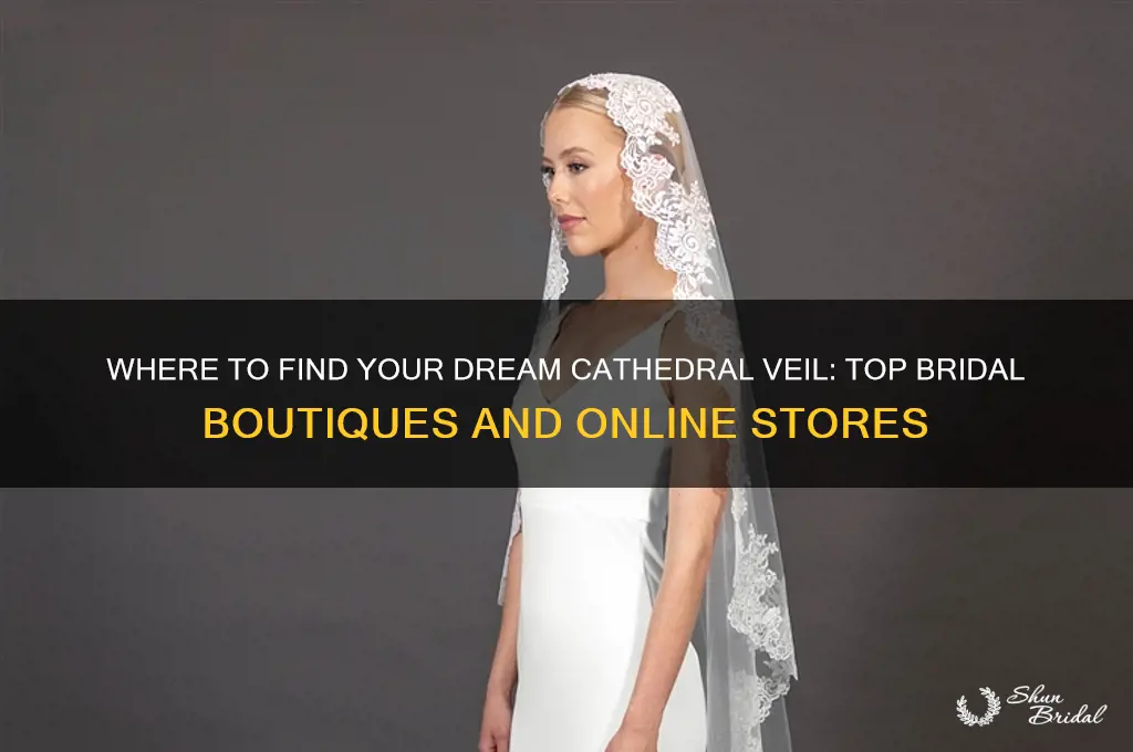 where to buy a cathedral veil