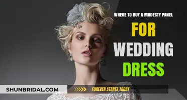 Finding the Perfect Wedding Dress Modesty Panel