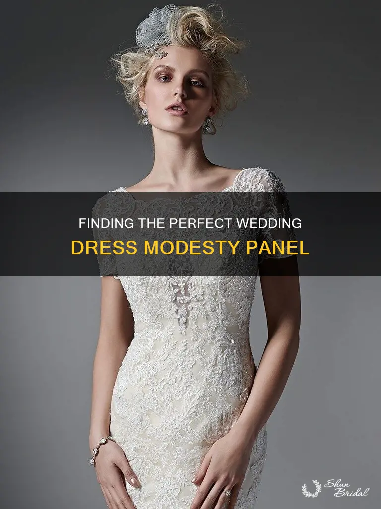 where to buy a modesty panel for wedding dress