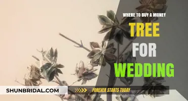 Where to Find the Perfect Money Tree for Your Wedding