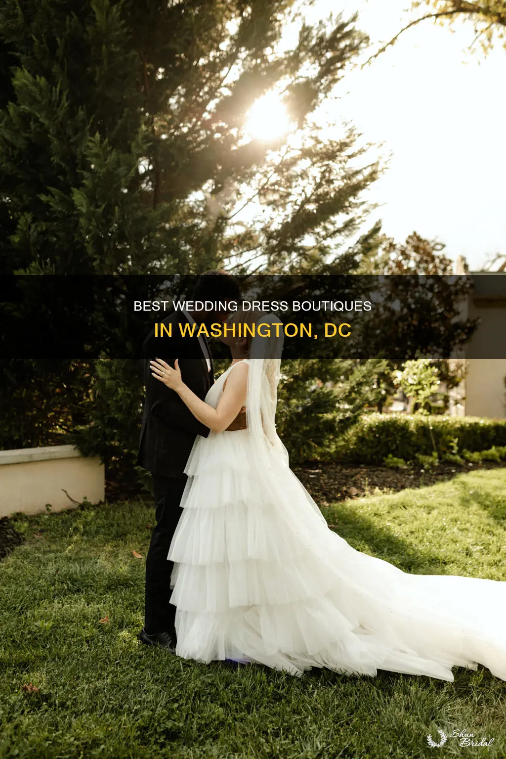 where to buy a wedding dress in dc