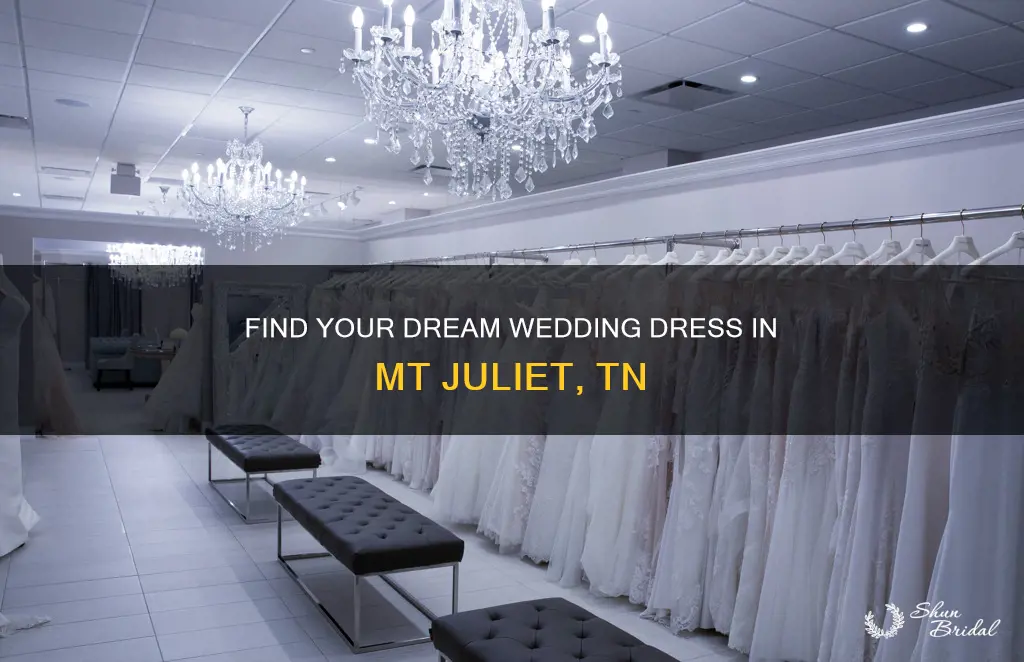 where to buy a wedding dress near mt juliet tn
