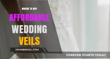Affordable Wedding Veils: Top Places to Shop for Your Dream Look