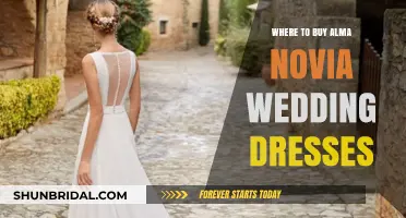 Alma Novia Wedding Dresses: Where to Buy Guide