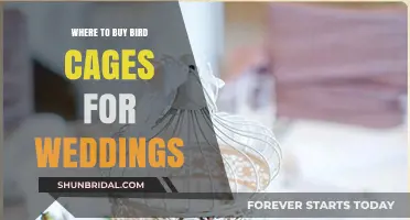 Elegant Bird Cages for Weddings: Top Retailers and Buying Guide