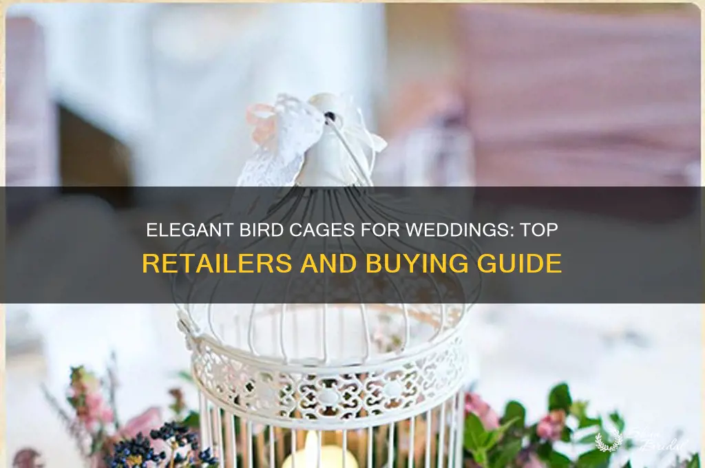 where to buy bird cages for weddings