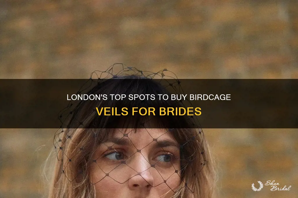 where to buy birdcage veil in london