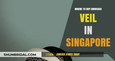 Best Places to Buy Birdcage Veils in Singapore: A Guide