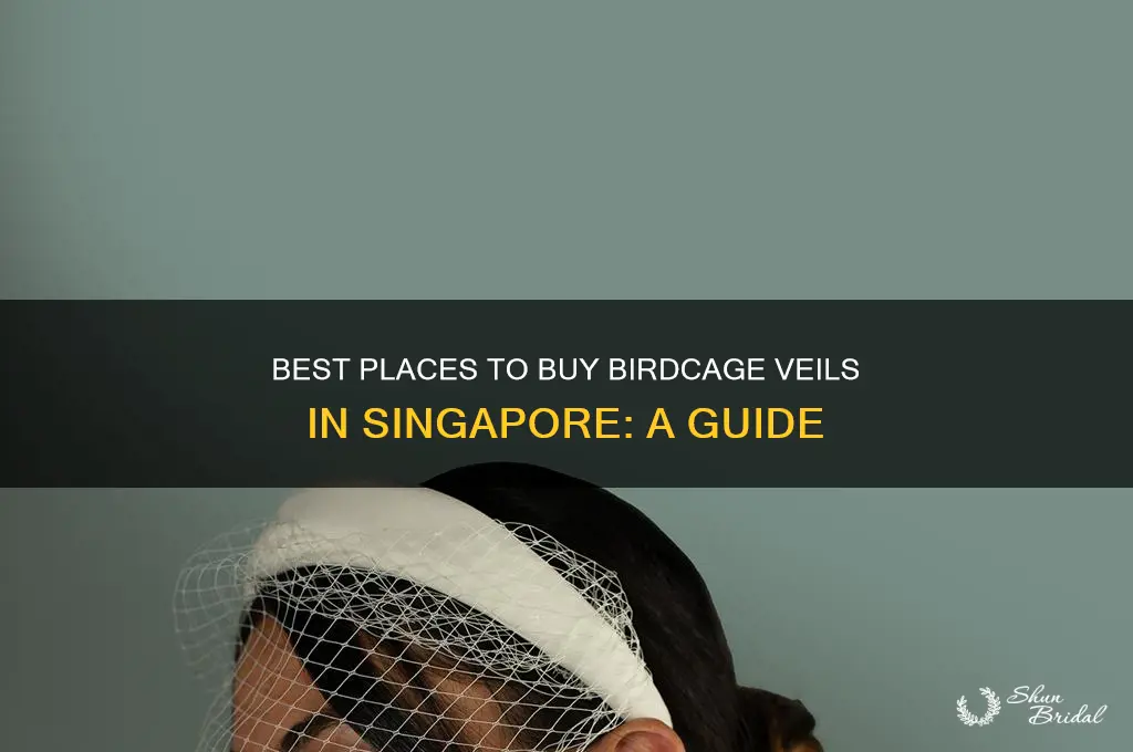 where to buy birdcage veil in singapore
