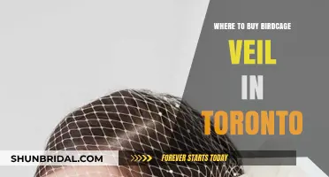 Where to Find the Perfect Birdcage Veil in Toronto