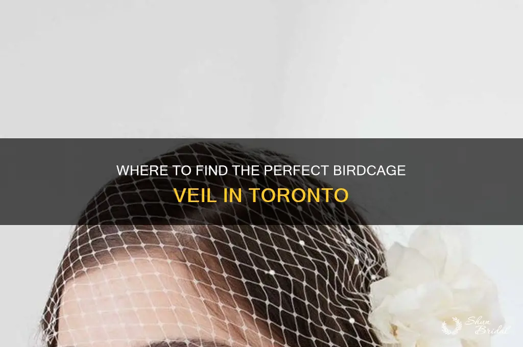 where to buy birdcage veil in toronto