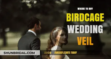 Elegant Birdcage Wedding Veils: Top Retailers and Online Shops