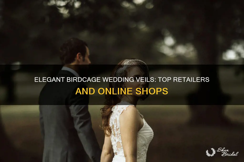where to buy birdcage wedding veil