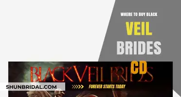 Where to Buy Black Veil Brides CDs: Top Retailers and Online Stores