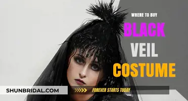 Best Places to Buy Black Veil Costumes Online and In-Store