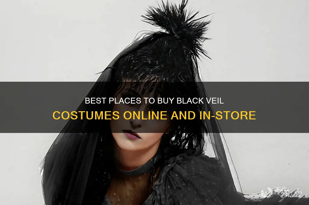 where to buy black veil costume