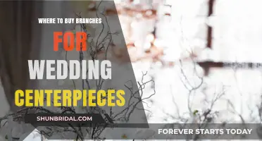 Where to Buy Branches for Wedding Centerpieces: Top Sources and Tips
