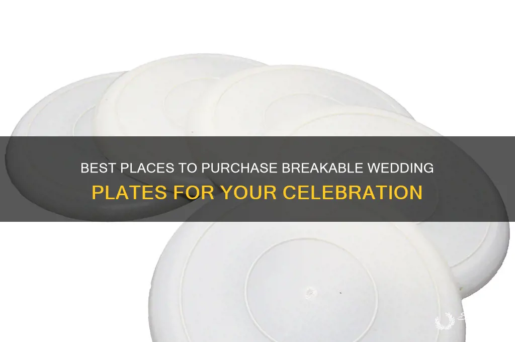 where to buy breakable wedding plates