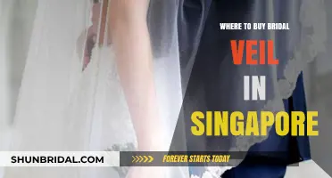 Top Bridal Veil Shops in Singapore for Your Dream Wedding Look