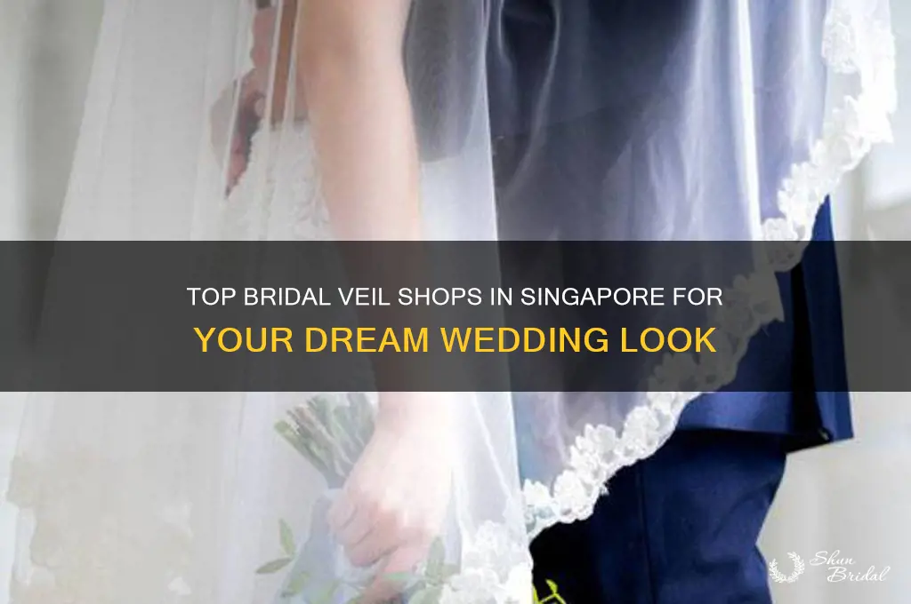 where to buy bridal veil in singapore