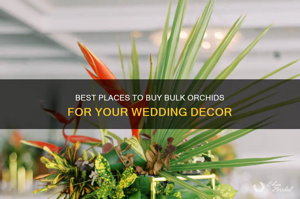 where to buy bulk orchid for wedding