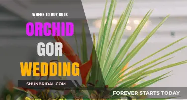 Where to Buy Bulk Orchids for Your Wedding: Top Suppliers