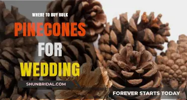 Where to Buy Bulk Pinecones for Your Rustic Wedding Decor