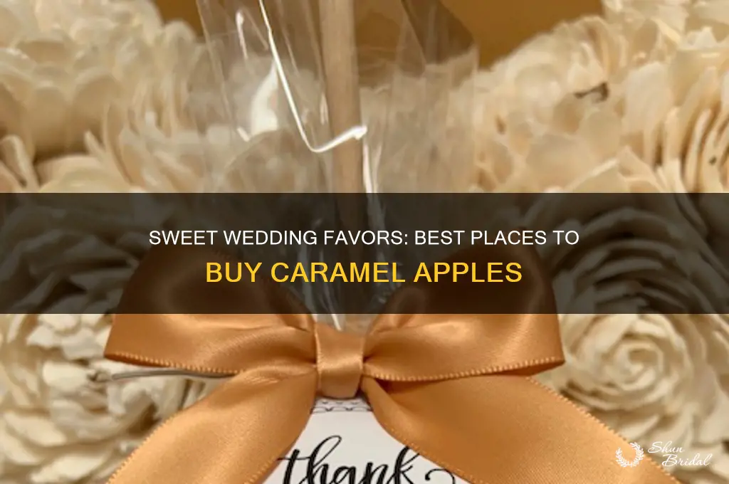 where to buy caramel apples for wedding favors