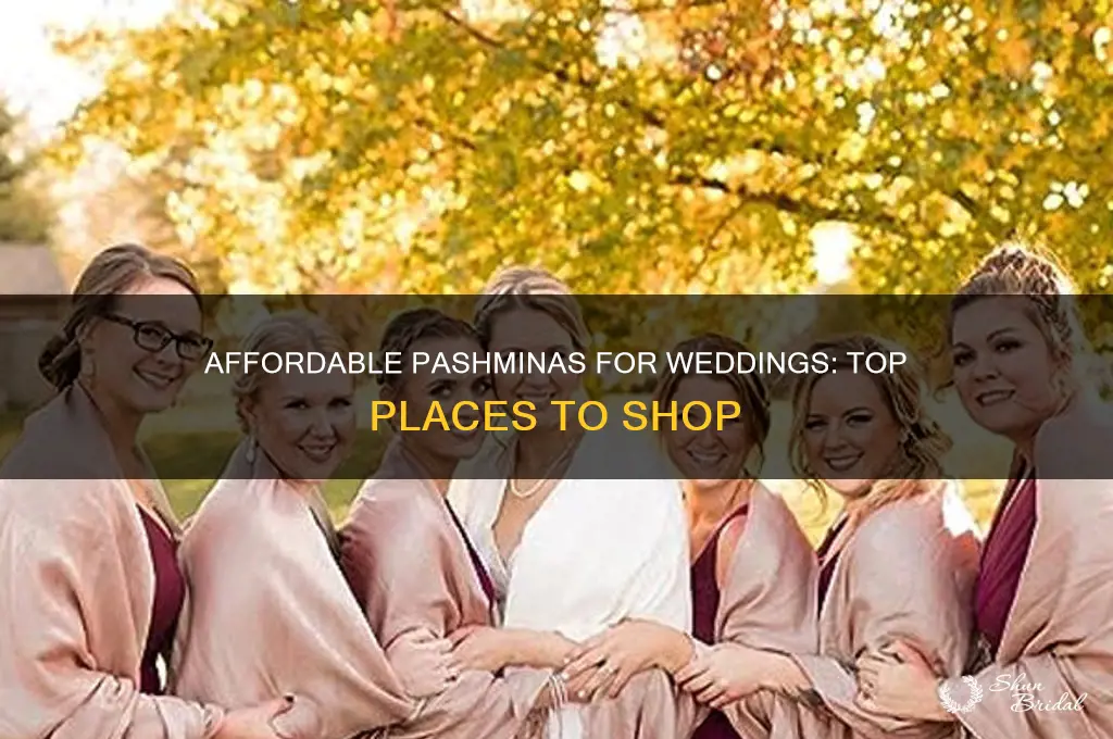 where to buy cheap pashminas for wedding