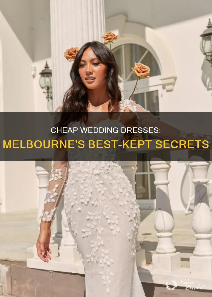 where to buy cheap wedding dresses in melbourne