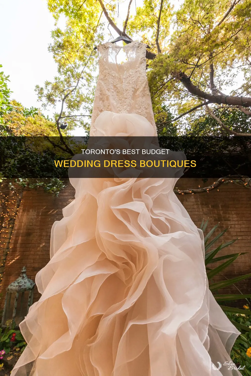 where to buy cheap wedding dresses in toronto