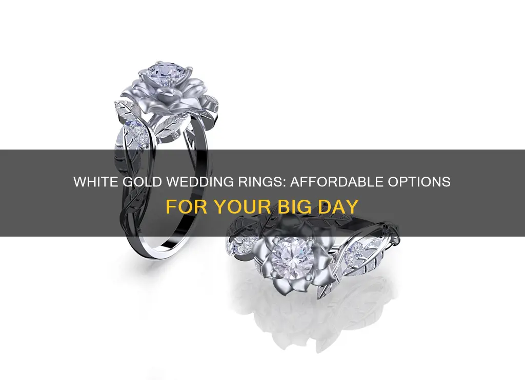where to buy cheap white gold wedding rings