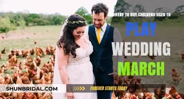 Unique Wedding March: Where to Find Chickens for Your Ceremony