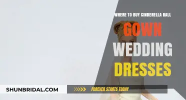 Cinderella Gowns: Where to Buy Your Dream Dress