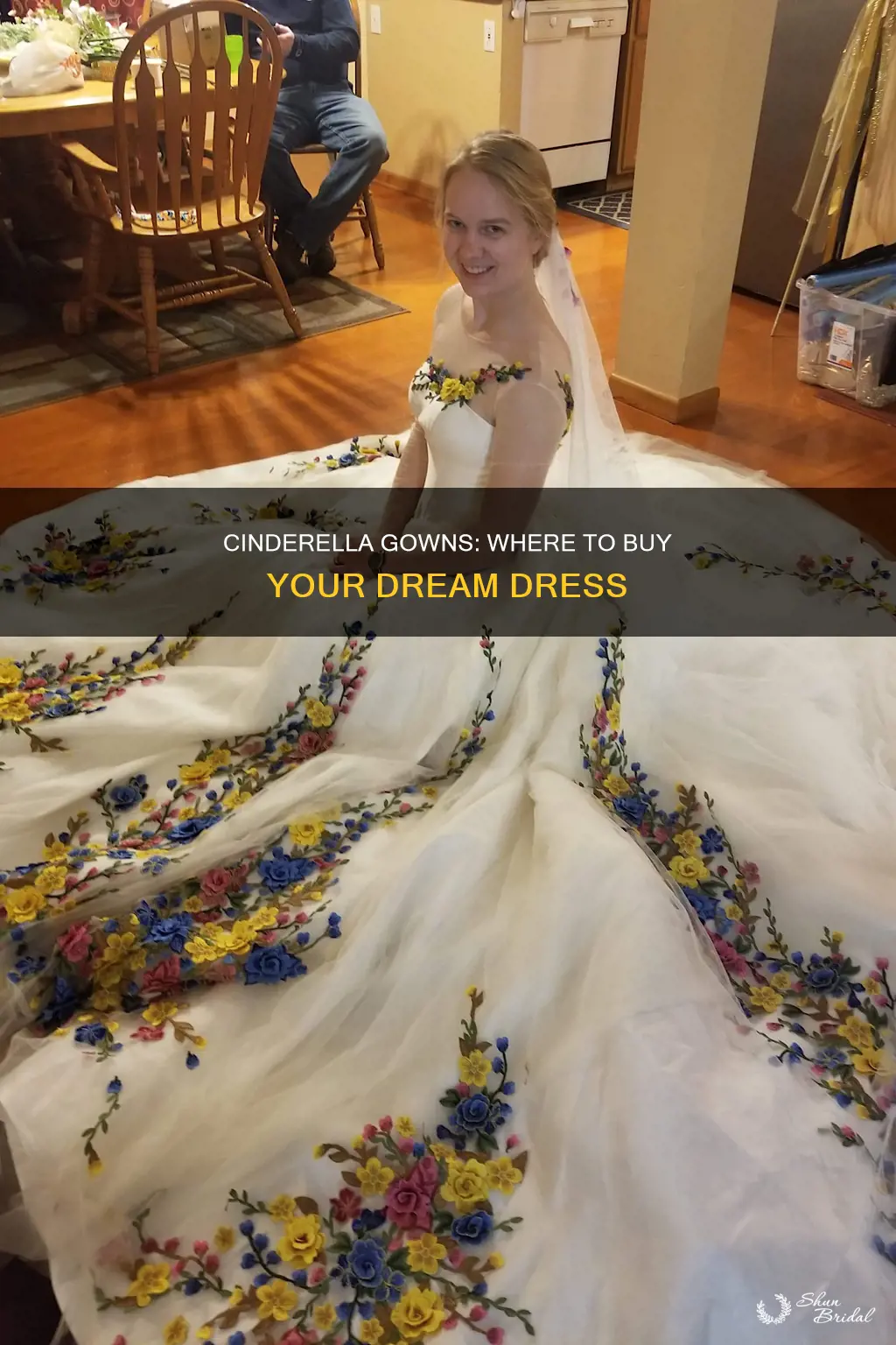 where to buy cinderella ball gown wedding dresses