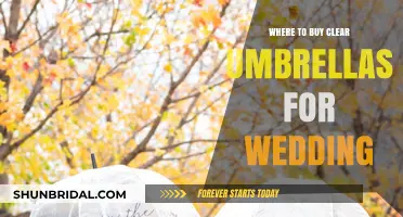 Best Places to Buy Clear Umbrellas for Your Wedding Day
