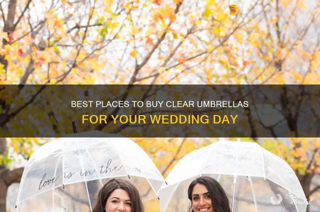 where to buy clear umbrellas for wedding