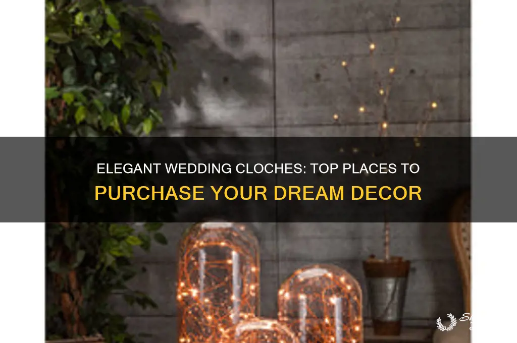 where to buy cloches for weddings