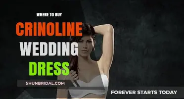 Best Places to Buy Crinoline Wedding Dresses