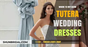 Shop David Tutera Wedding Dresses: Where to Buy Guide