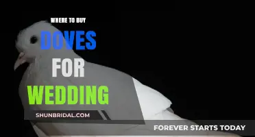 Where to Buy Doves for Your Wedding: A Complete Guide