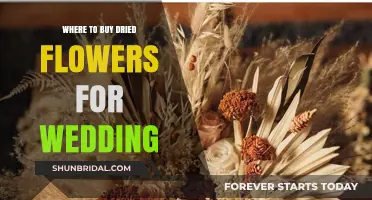 Best Places to Buy Dried Flowers for Your Dream Wedding Decor
