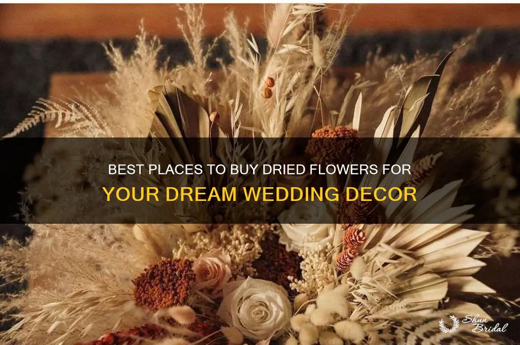 where to buy dried flowers for wedding