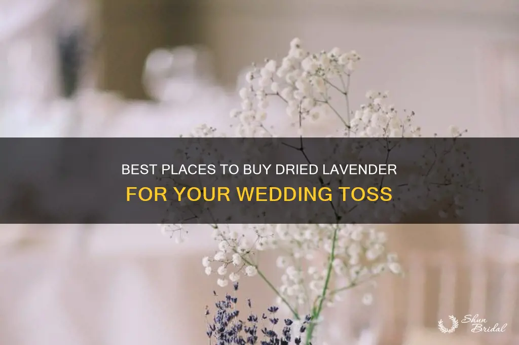 where to buy dried lavender for wedding toss