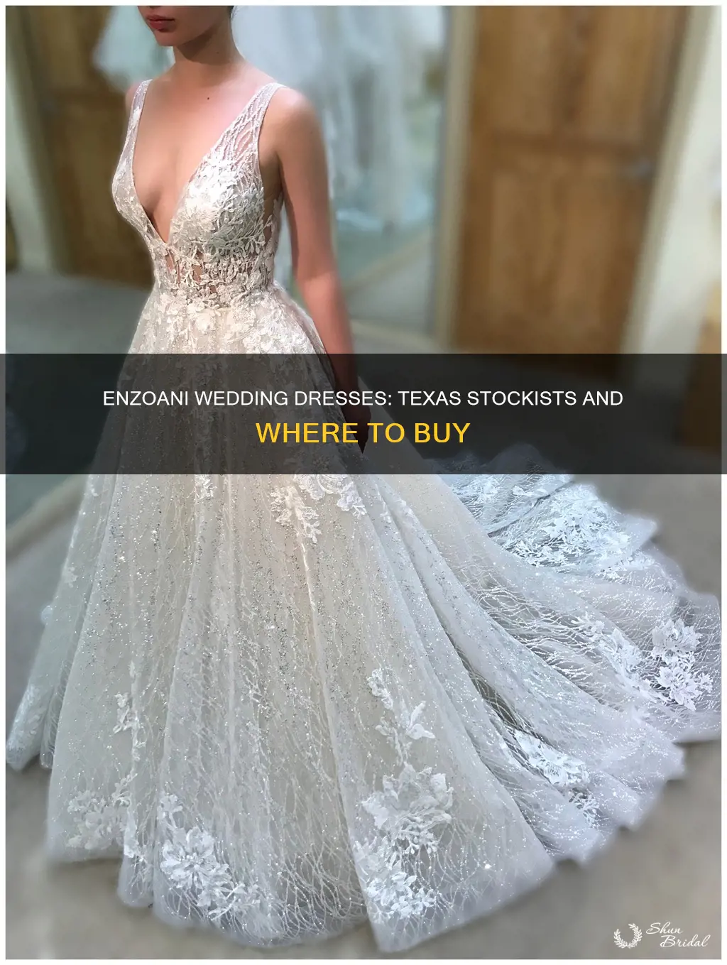 where to buy enzoani wedding dresses texas