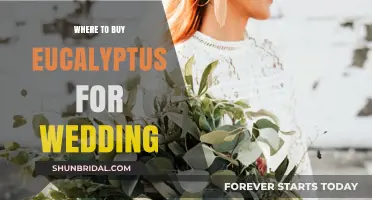 Where to Buy Eucalyptus for Your Dream Wedding Decor