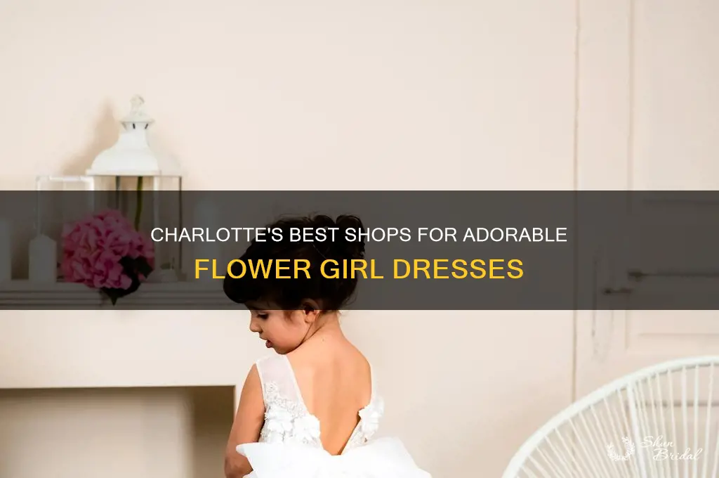 where to buy flower girl dresses charlotte nc