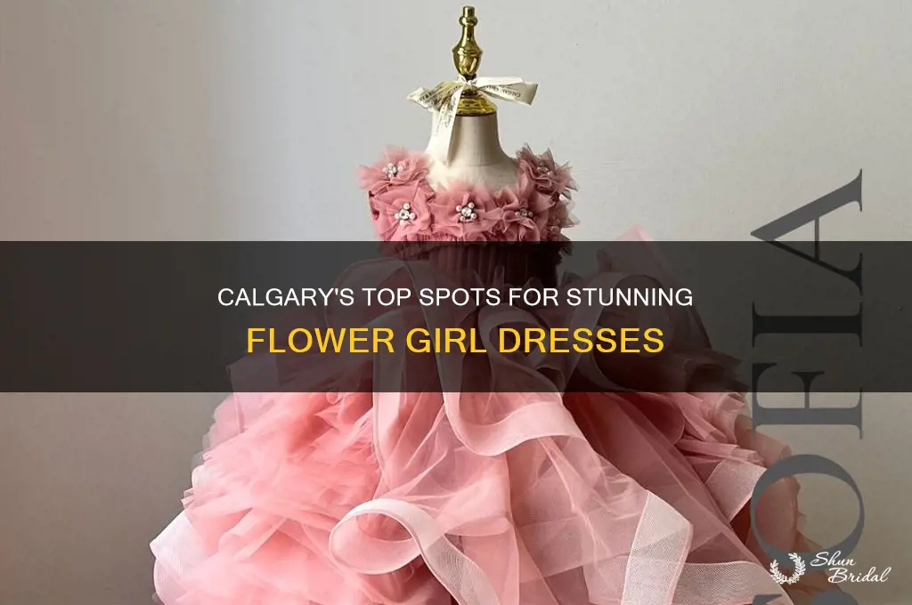 where to buy flower girl dresses in calgary